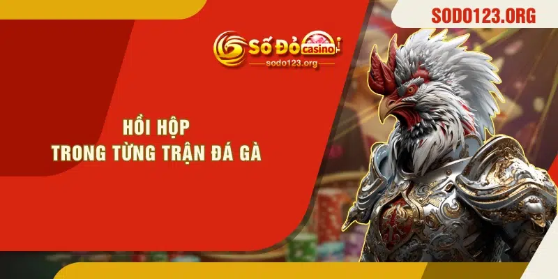 Hồi hộp trong từng trận đá gà